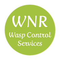 Wasp Control Gloucestershire